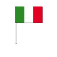 Zwaaivlaggetjes Italie 12 x 24 cm Multi