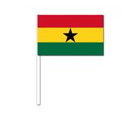 Bellatio Zwaaivlaggetjes Ghana 12 x 24 cm Multi