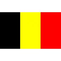 Bellatio Mini vlag Belgie 60 x 90 cm Multi