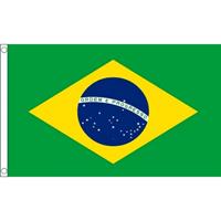 Bellatio Mini vlag Brazilie 60 x 90 cm