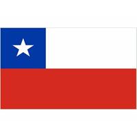 Bellatio Mini vlag Chili 60 x 90 cm