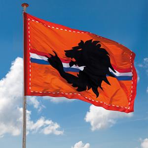 Bellatio Mega oranje stadion vlag 300x200 cm