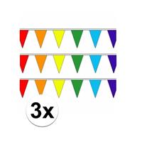 3 stuks Regenboog slinger met puntvlaggetjes 5 meter Multi