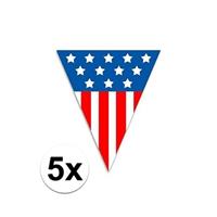 5x USA vlaggenlijnen 5 meter