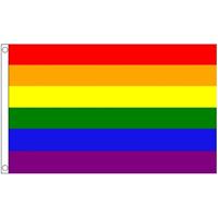 Regenboog LGBT vlag 60 x 90 cm Multi