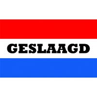 Shoppartners Geslaagd vlag met Nederlandse kleuren 150 x 90 cm Multi