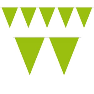 1x Mini vlaggenlijn / slinger lime groen 300 cm Lime