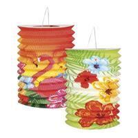 Paper Hibiscus Hawaii Lanterns Set of 2