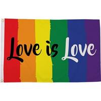 Regenboog LGBT vlag Love is Love 90 x 150 cm verticale strepen Multi