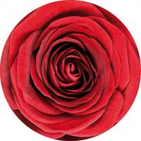 Bellatio Bierviltjes onderzetters rode roos/rozen 50x stuks Rood