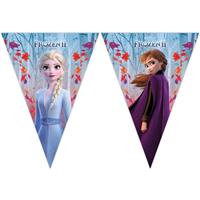 Disney 2x Frozen 2 vlaggenlijnen 2 meter Multi