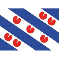Shoppartners 10x Friesland vlag stickers 7.5 x 10 cm Multi