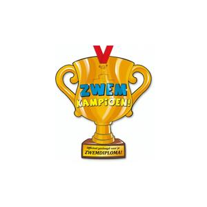 trofee Zwemkampioen 33 cm karton goud