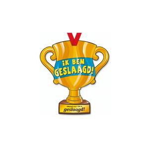 trofee ik ben geslaagd! 33 cm karton goud