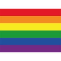 Bellatio 20x Regenboog vlag / LGBT vlag stickers 10 cm Multi