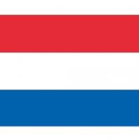 Bellatio 10x Vlag Nederland stickers 10 cm Multi