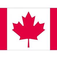 Bellatio 10x Vlag Canada stickers 10 cm Multi