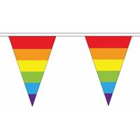 Set van 2x stuks polyester vlaggenlijnen regenboog vlaggetjes 5 Multi
