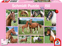 Schmidt Spiele Schmidt 56269 - Puzzle, Pferdeträume, Kinderpuzzle, 150 Teile