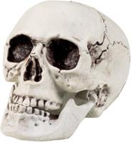 Halloween Horror decoratie schedel/doodskop met beweegbare kaak 20 x 15 cm - Feestdecoratievoorwerp