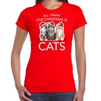 Bellatio Kitten Kerst t-shirt / outfit All i want for Christmas is cats rood voor dames