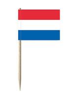 Shoppartners Cocktailprikkers vlag Nederland 100x stuks -