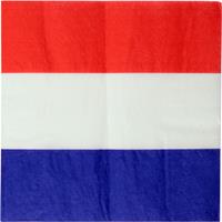 Santex 20x Nederland landen thema servetten 33 x 33 cm -