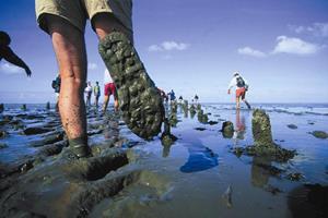 Wadlopen en Wellness