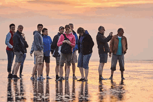 Belevenissen.nl Wadlopen en zeehonden spotten