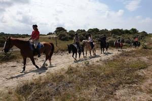 Belevenissen.nl Paardrijden in de duinen