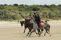 Belevenissen.nl Paardrijden op het strand