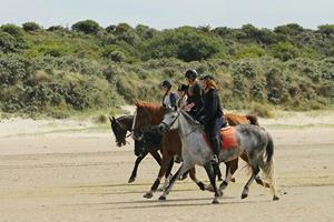 Belevenissen.nl Paardrijden op het strand