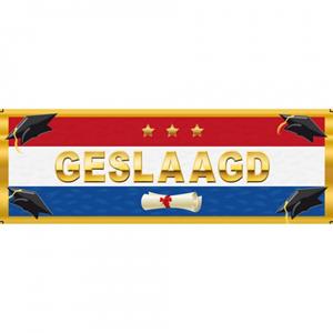 3x stuks stickers Geslaagd Nederlandse vlag 19,6 x 6,5 cm -