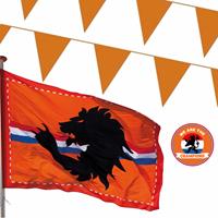 Bellatio Ek oranje straat/ huis versiering pakket met oa 2x Mega Holland vlag, 300 meter oranje vlaggenlijnen -