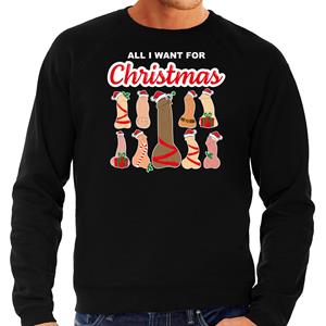 Bellatio All I want for Christmas / piemels foute Kerst sweater / trui zwart voor heren