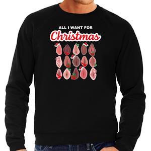 Bellatio All I want for Christmas pussy/ vagina foute Kerst sweater / Kersttrui zwart voor heren
