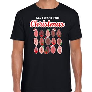 Bellatio All I want for Christmas / piemels fout Kerst t-shirt zwart voor heren