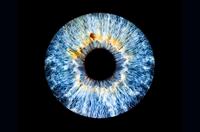 Iris Fotografie Hechingen