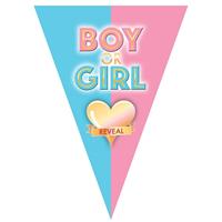 Bellatio 3x stuks gender reveal babyshower thema vlaggetjes slinger/vlaggenlijn van 5 meter -