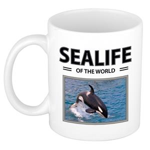 Bellatio Orka mok met dieren foto sealife of the world -