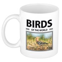 Bellatio Hop vogels mok met dieren foto birds of the world -