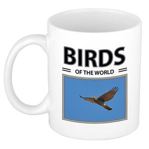 Bellatio Havik roofvogels mok met dieren foto birds of the world -