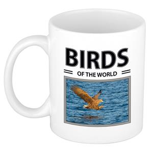 Bellatio Zeearenden mok met dieren foto birds of the world -