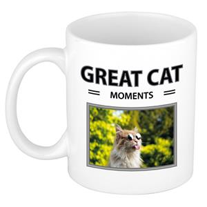 Bellatio Rode katten mok met dieren foto great cat moments -