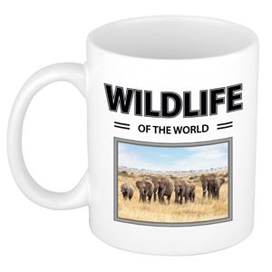 Bellatio Olifant mok met dieren foto wildlife of the world -