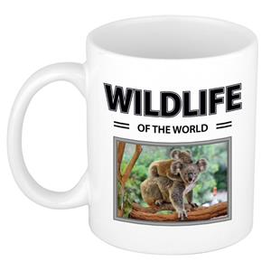 Bellatio Koala mok met dieren foto wildlife of the world -