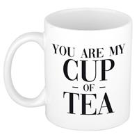 Bellatio You are my cup of tea cadeau mok / beker wit voor Valentijnsdag 300 ml -