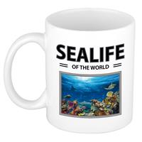 Bellatio Vis mok met dieren foto sealife of the world -