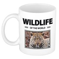 Bellatio Jaguar mok met dieren foto wildlife of the world -