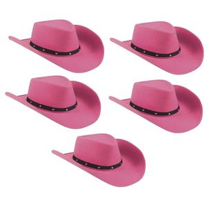 5x Roze cowboyhoeden Wichita voor dames